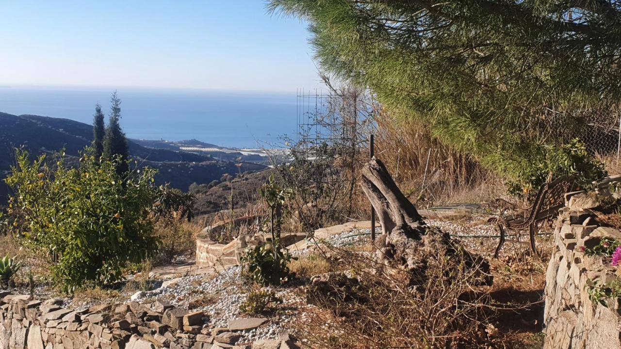 Finca Esperanza Costa Del Sol Sayalonga Екстер'єр фото